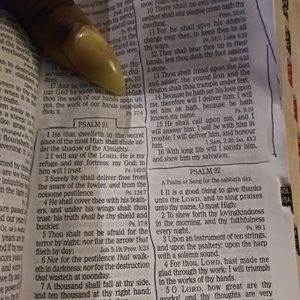 Meet your Posher, Levia